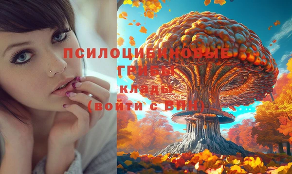 MDMA Premium VHQ Липки