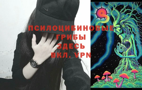 бошки Лиски