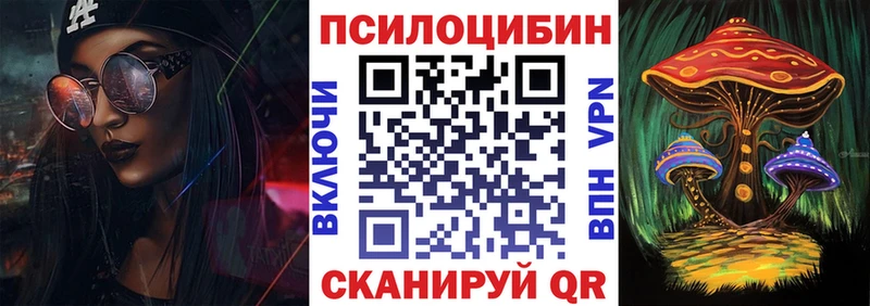 Псилоцибиновые грибы Cubensis  Горячеводский 